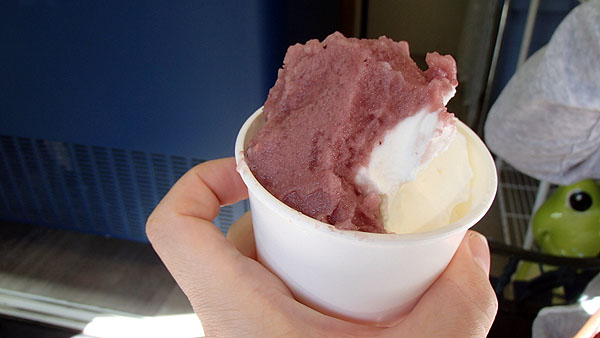 人生最高の美味しいジェラート